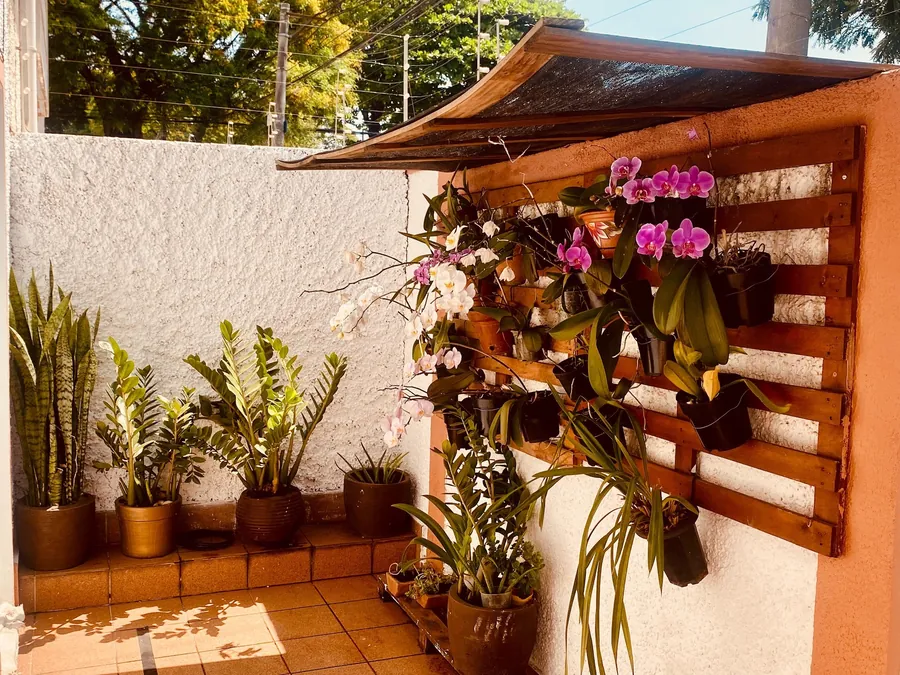 Jardim com orquídeas e plantas na entrada da clínica
